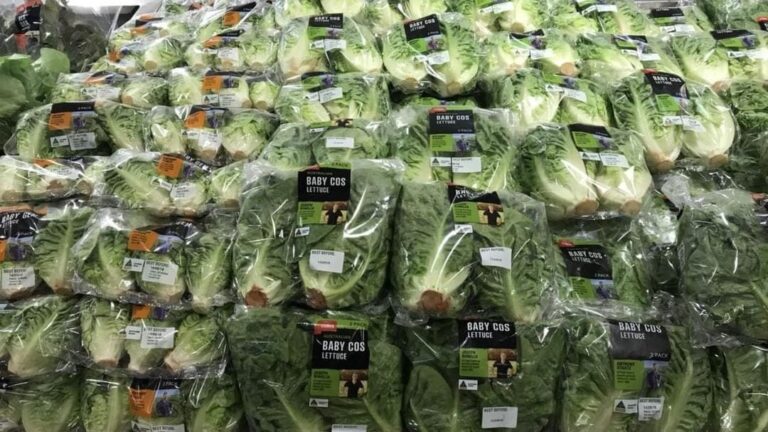 Food regulation & small growers on ABC Radio